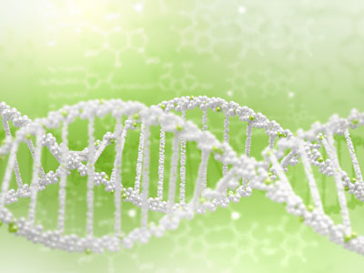 2015年基因测序领域产业格局分析